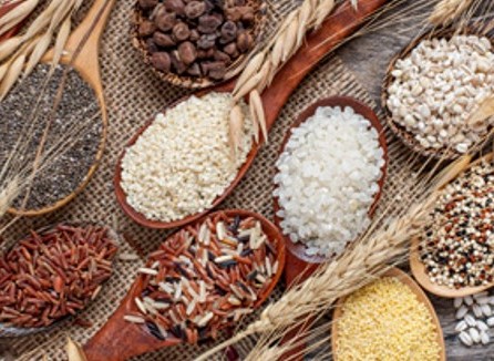 サムネイル画像(3)