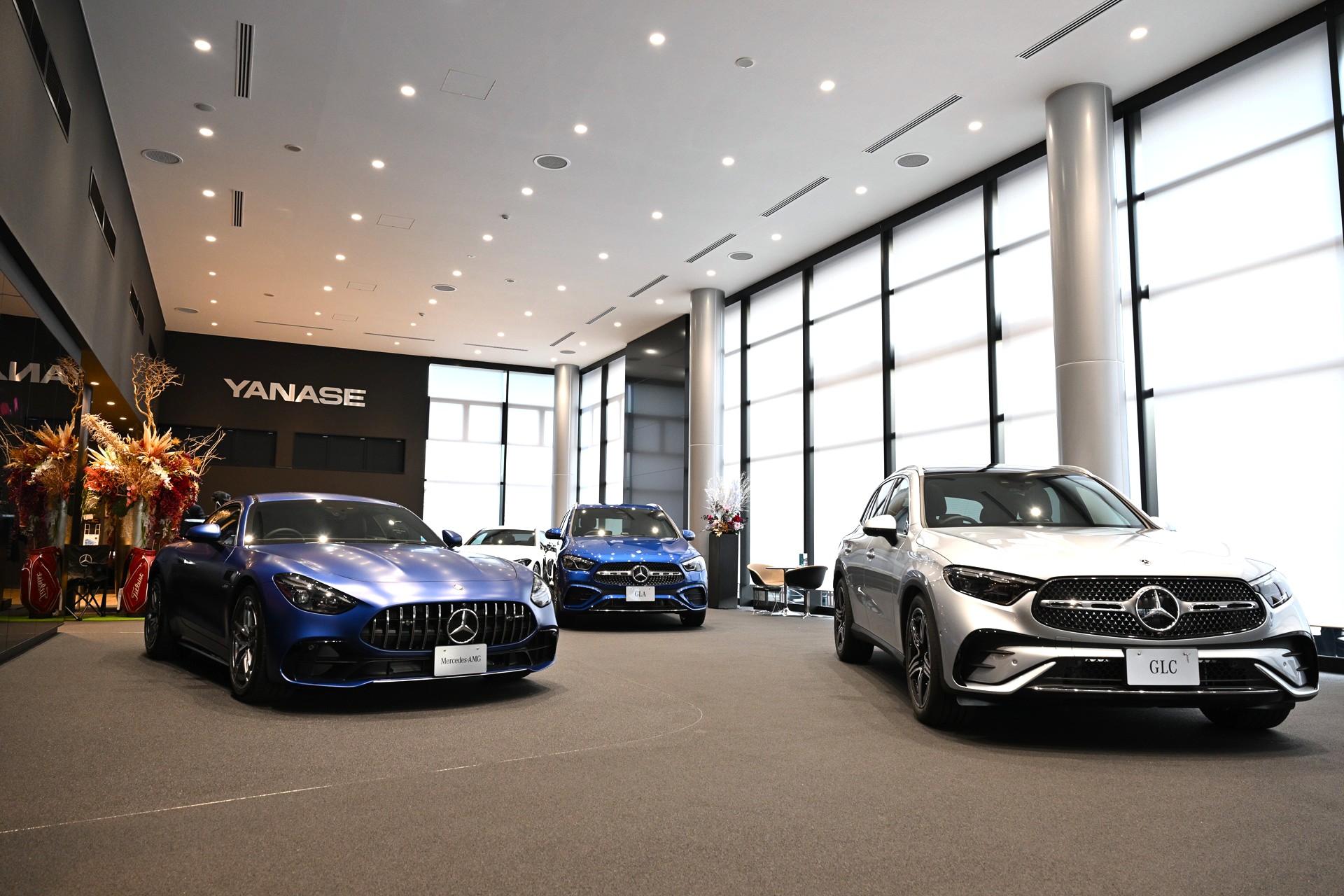 サムネイル画像(1)