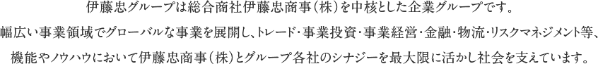 伊藤忠グループは総合商社伊藤忠商事（株）を中核とした企業グループです。幅広い事業領域でグローバルな事業を展開し、トレード・事業投資・事業経営・金融・物流・リスクマネジメント等、機能やノウハウにおいて伊藤忠商事（株）とグループ各社のシナジーを最大限に活かし社会を支えています。